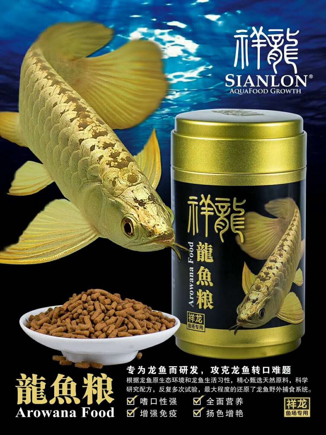 Nuremberg Golden dragon fish food